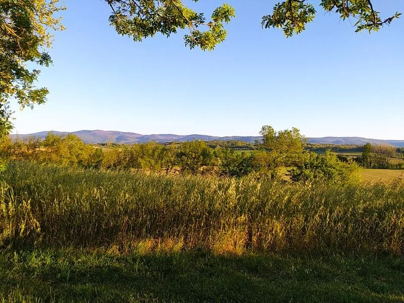 Randonnée Lou Cami de Viviers · Viviers-lès-Montagnes
