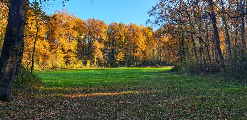 Randonnée Chemin des Mûres · Terre-de-Bancalié