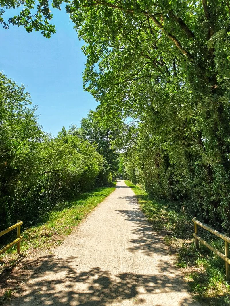 Randonnée Chemin secret de l'Autan · Lombers