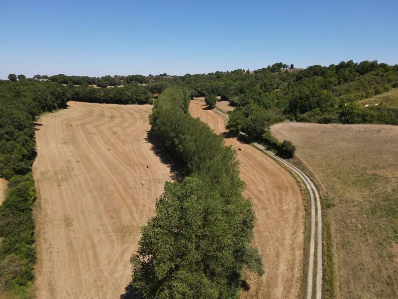 Randonnée Circuit du Vieux Chêne · Lombers