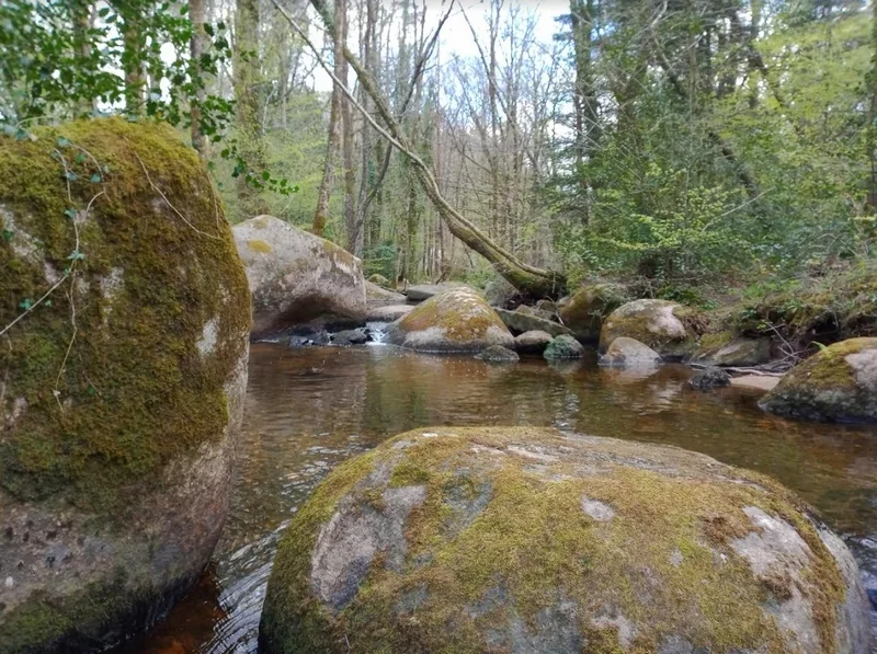 Randonnée Sentier rivière de rochers · Lacrouzette