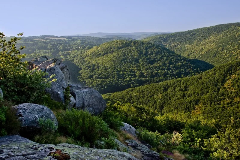 Randonnée Sentier des bergers · Fontrieu