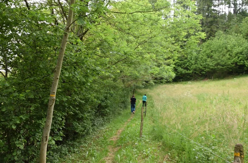 Randonnée Sentier de Peyrolles · Fontrieu