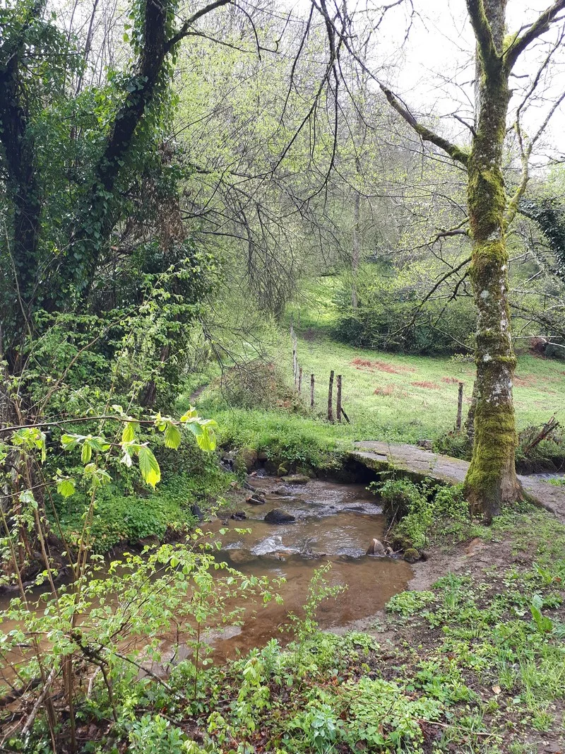Randonnée Sentier boucle du Carreriou · Fontrieu