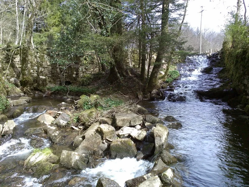 Randonnée Sentier des sources de la Durencuse · Brassac