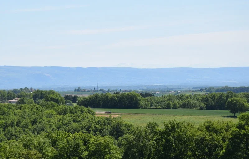 Randonnée Randonnée des Puechs, sur les traces de Toulouse-Lautrec · Montfa