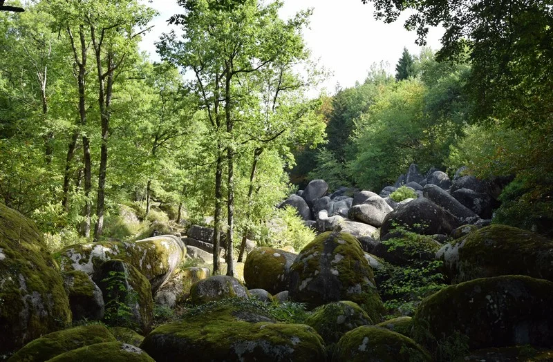 Randonnée Sentier du Chaos de la Rouquette · Burlats
