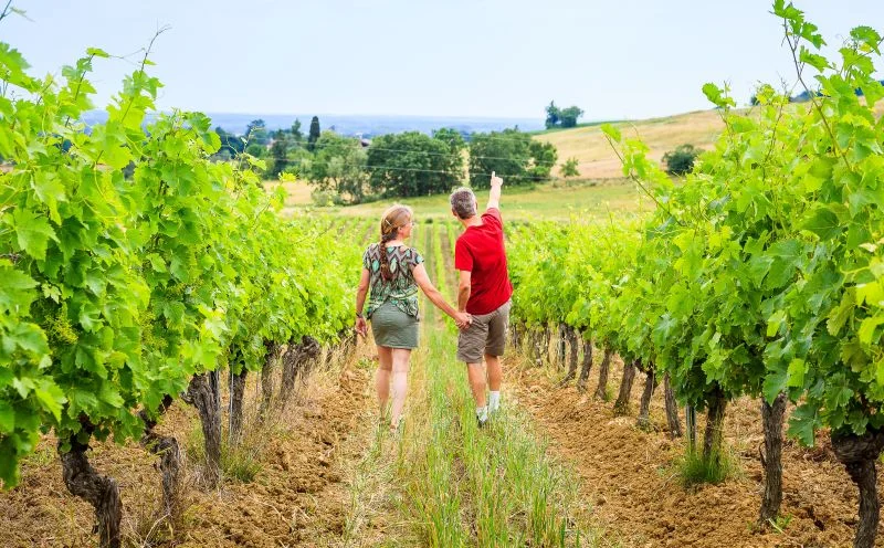 Randonnée Oenorando® Le chemin de Pompirac · Gaillac
