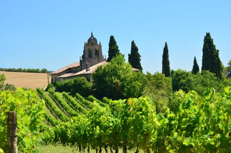 Randonnée Oenorando® Vignes et clochers · Lisle-sur-Tarn