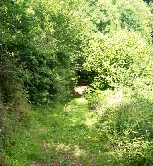 Randonnée Sentier du bois du prince · Fontbelle