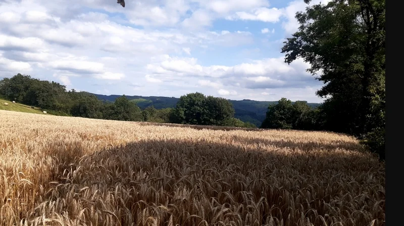 Randonnée Randonnée Lo camin traversut · Fontbelle