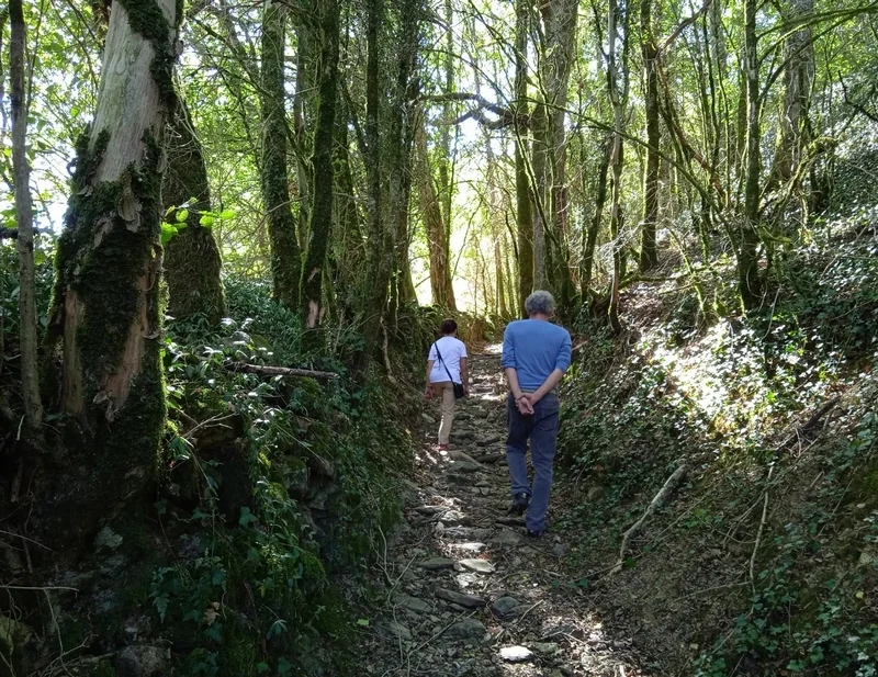Randonnée Sentier du chemin de pierre de Sénégats · Lacaze