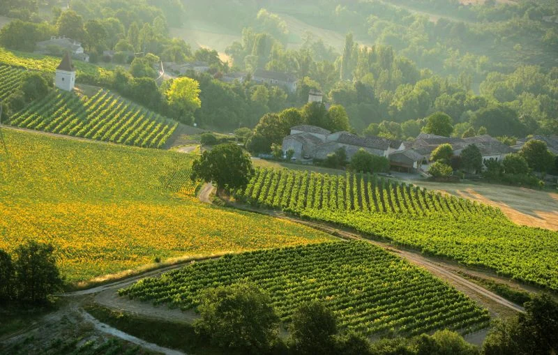 Randonnée Chemin de la Vère au Saint-Hussou · Cahuzac-sur-Vère