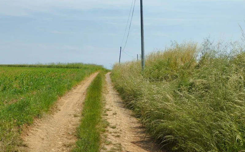 Randonnée Sentier des 3 ruisseaux · Bellegarde-Marsal