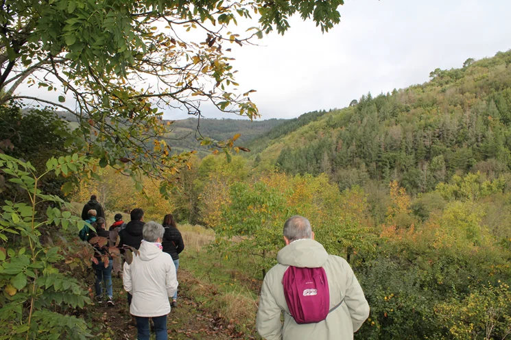 Randonnée Sentier des vignes et des vergers · Miolles