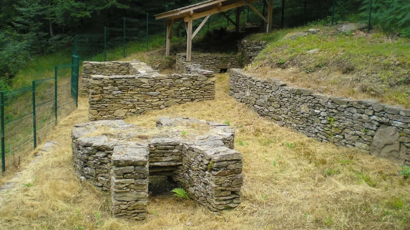 Randonnée Le sentier des Gentilhommes verriers · Saint-Amans-Soult
