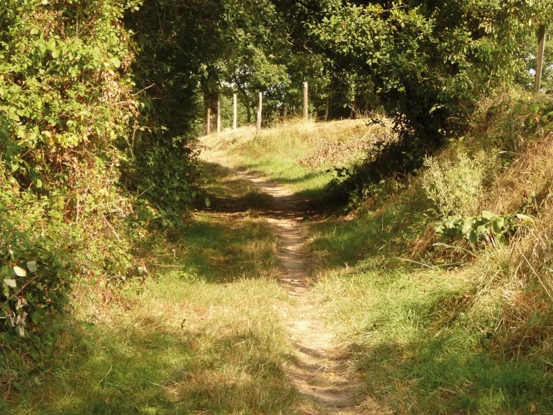 Randonnée Chemin de la Gaugne · Fréjairolles