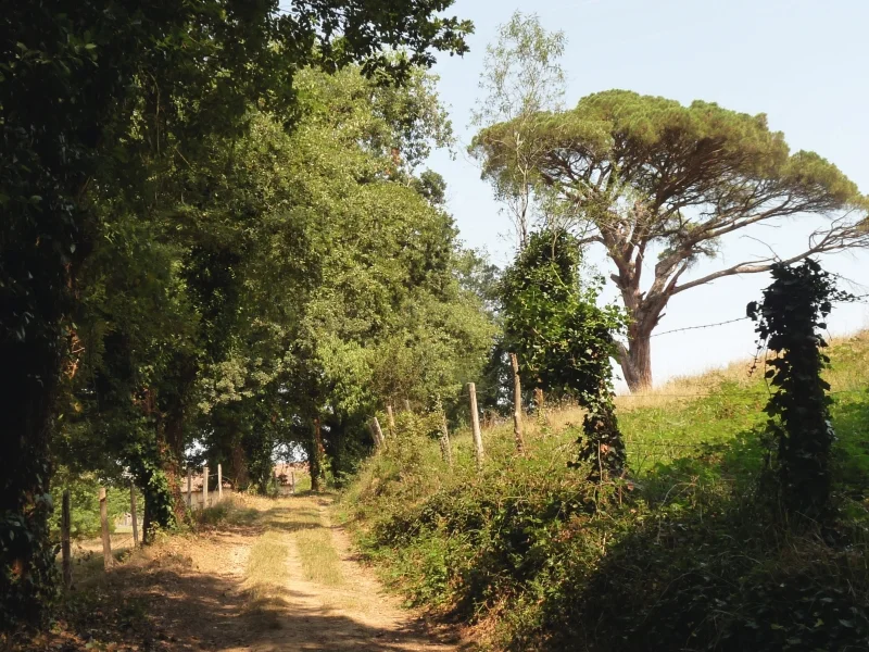 Randonnée Chemin des deux vallons · Cunac
