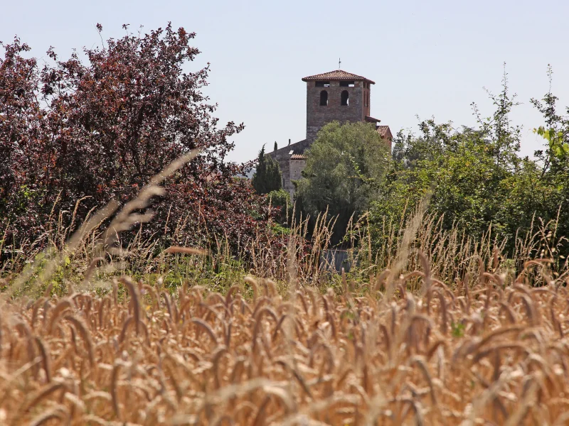 Randonnée Les chemins de la plaine · Lescure-d'Albigeois