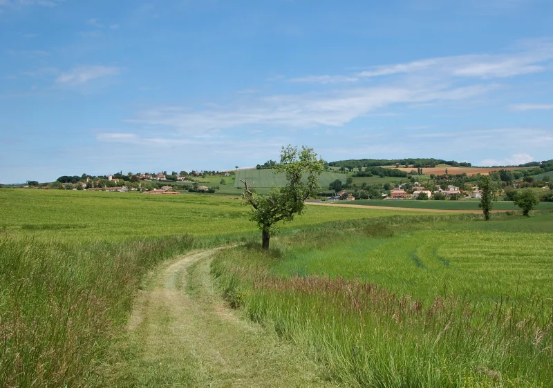 Randonnée Sentier de Fourmageouge · Rouffiac