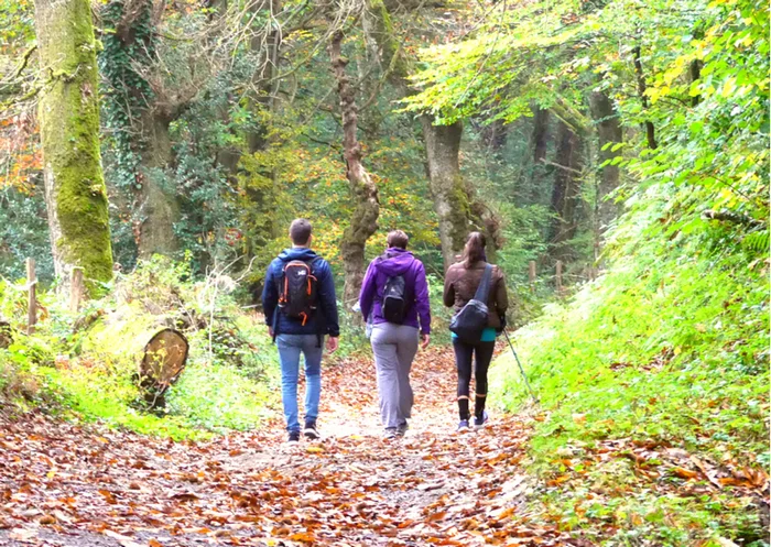 Randonnée Boucle des forêts du Malous · Noailhac