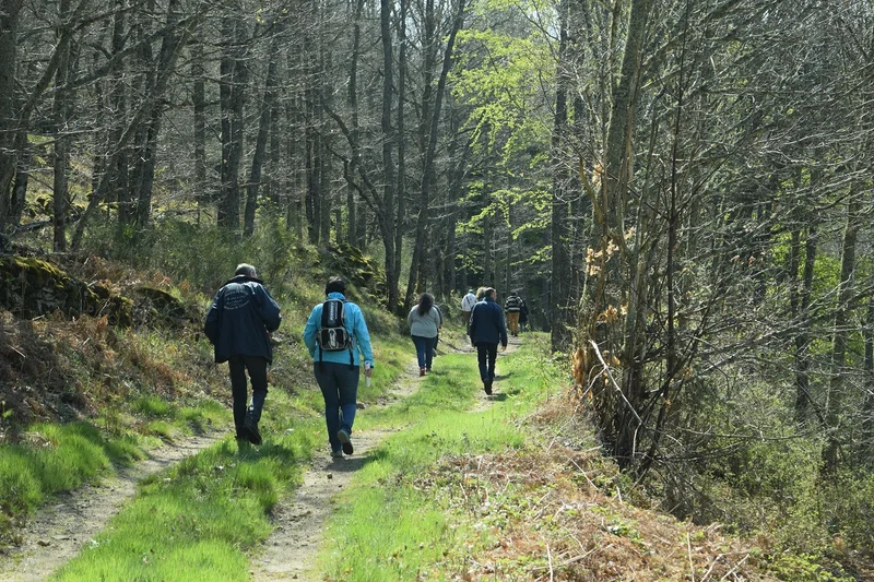 Randonnée La Valette · Viane