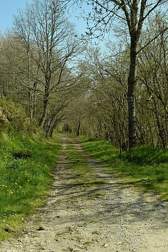 Randonnée La presqu'île par la crête · Nages
