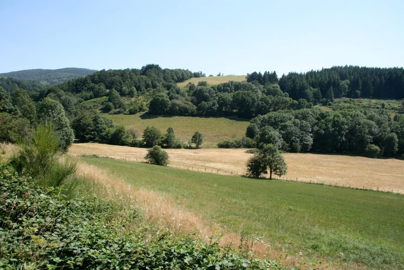Randonnée Les tourelles · Murat-sur-Vèbre
