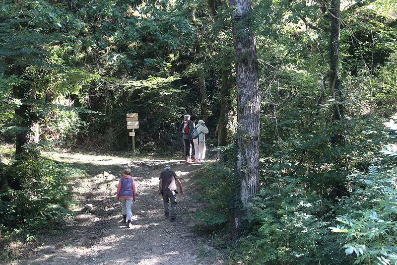 Randonnée Sentier botanique de Pampelonne · Pampelonne