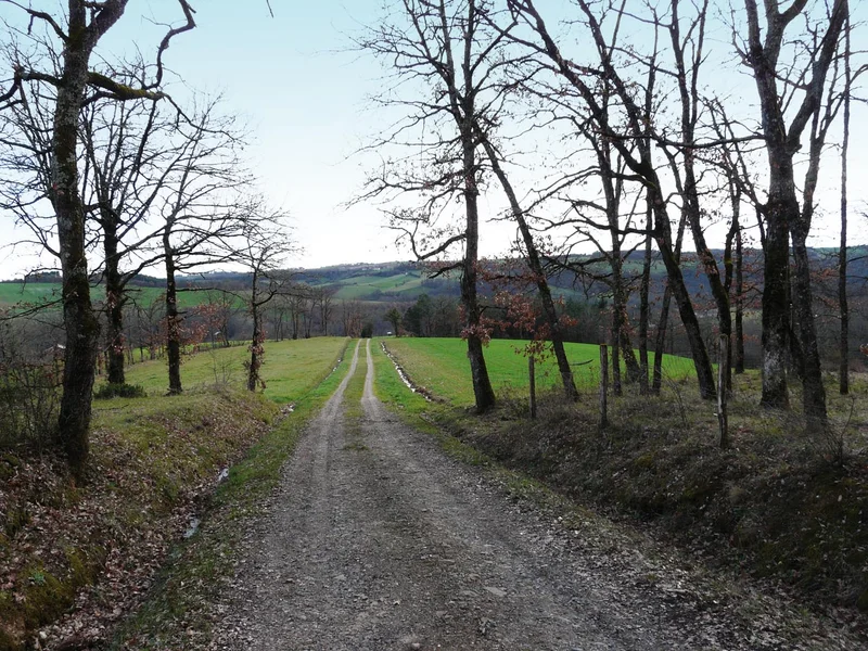 Randonnée Circuit de Mazens · Monestiés