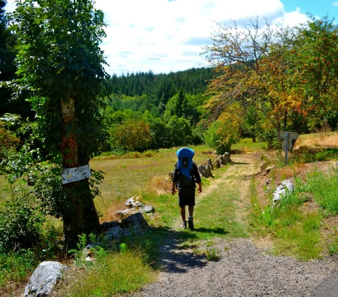 Randonnée La lauze · La Salvetat-sur-Agout