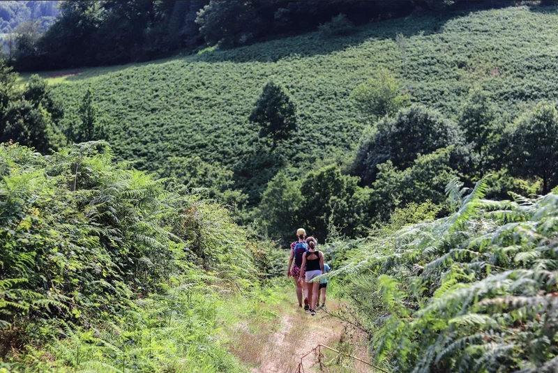 Randonnée Sentier Prévert · Fraisse-sur-Agout