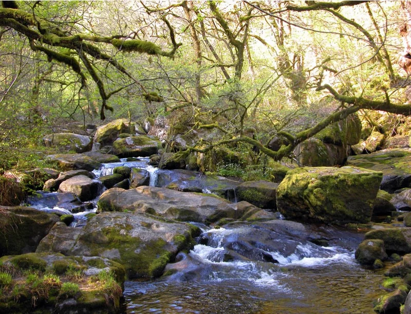 Randonnée La haute vallée de l'Agout · Cambon