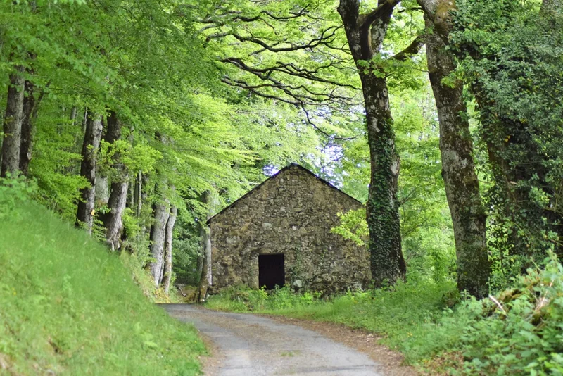 Randonnée De Lacanal à Rouvières (version courte) · Nages