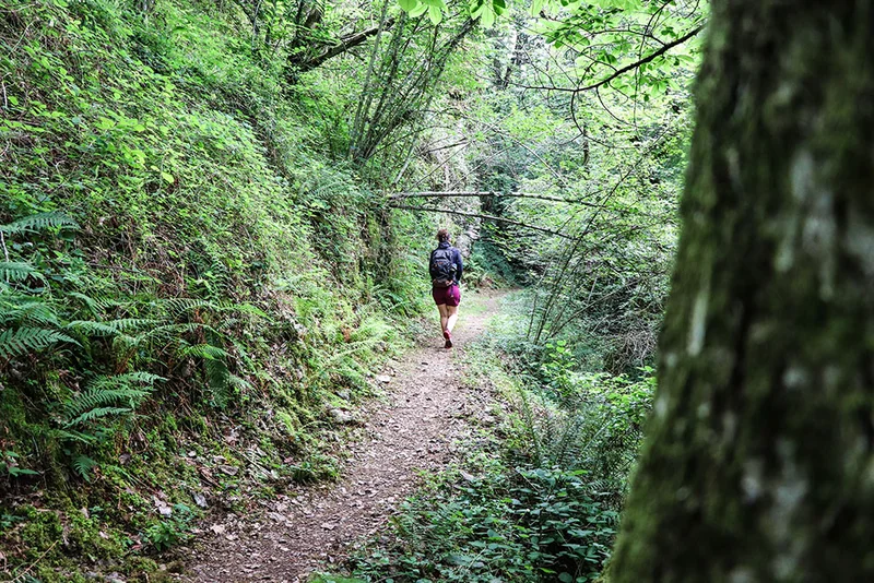 Randonnée Circuit du château de Thuriès et du Viaur · Pampelonne