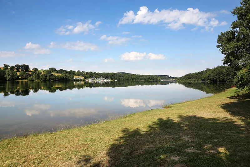 Randonnée Sentier de la libellule bleue · Canitrot