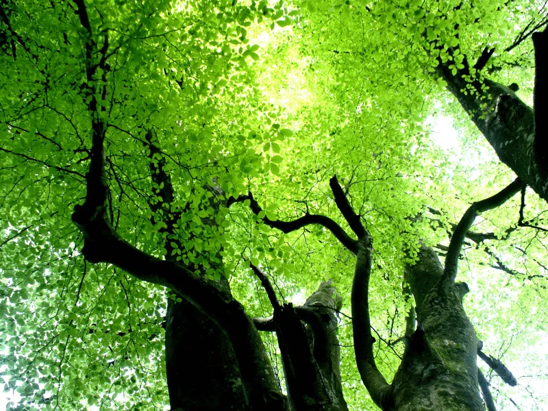 Randonnée De la vallée à l'orée du bois · Saint-Amans-Valtoret