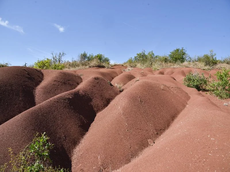Randonnée Sentier de Maraval - portion des dunes · Labarthe-Bleys