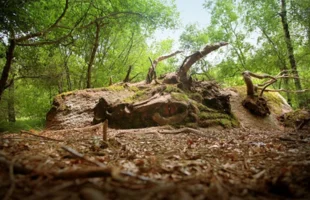 Randonnée La sagne de Puech Balmes · Saint-Amans-Valtoret