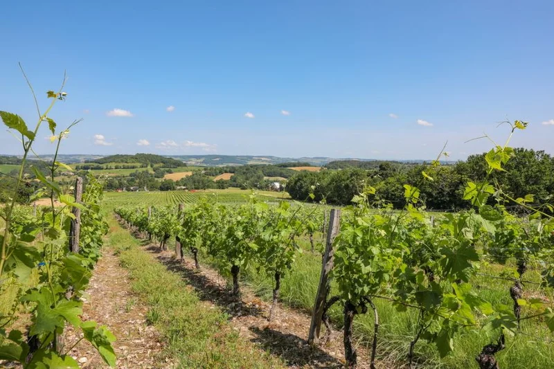 Randonnée Oenorando® La Birado · Cabanès