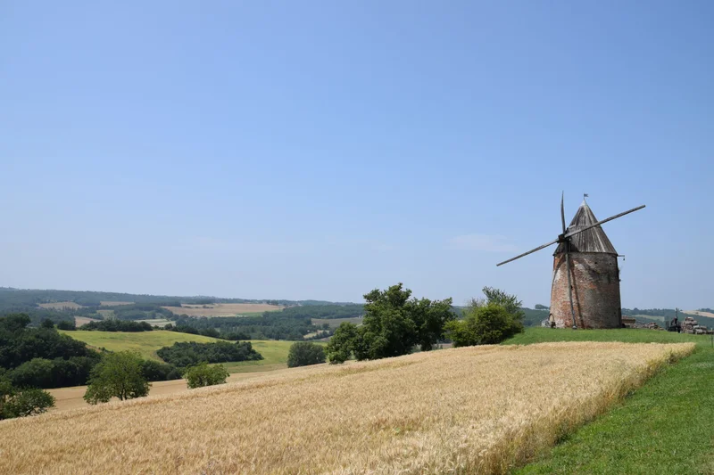 Randonnée Vallons et forêts · Rabastens