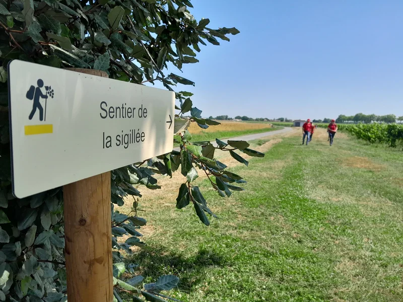 Randonnée Oenorando® Sentier de la Sigillée · Montans