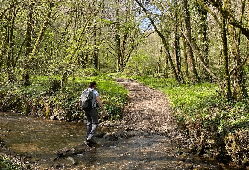 Randonnée Sentier de Cazouls · Mirandol-Bourgnounac