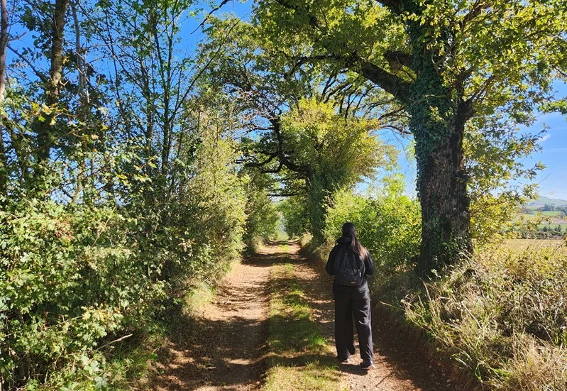 Randonnée La vallée de la Blaze · Teillet