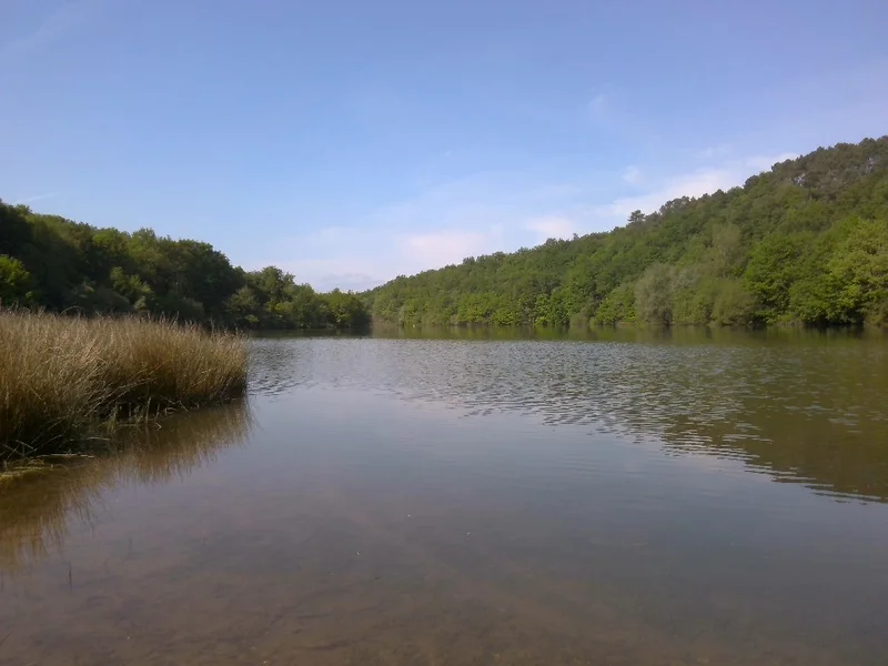 Randonnée Le sentier du lac · Terre-de-Bancalié