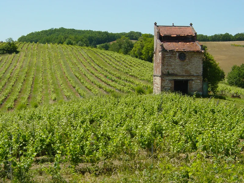 Randonnée Les Hauts de Gaillac · Gaillac