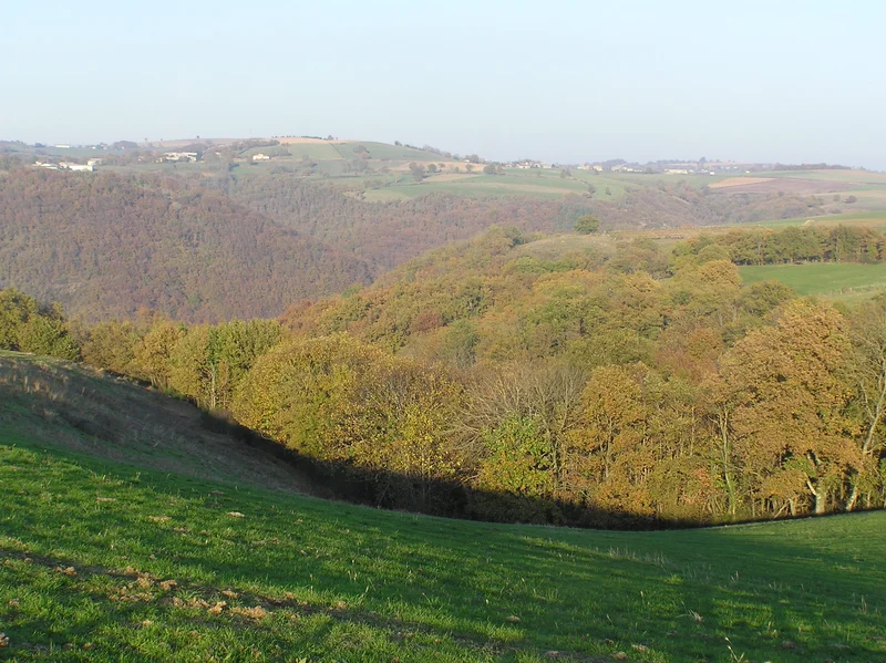 Randonnée Le sentier du chevreuil · Paulinet