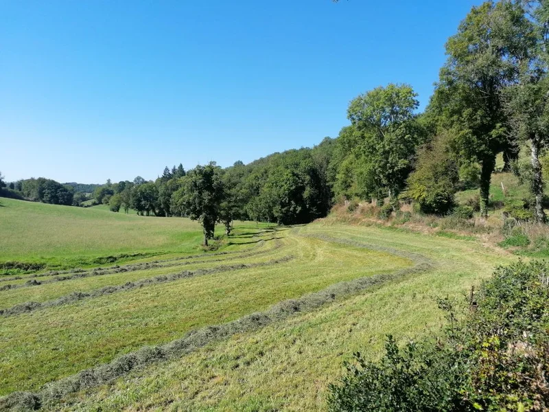 Randonnée Saint-Salvi-de-Carcavès · Saint-Salvi-de-Carcavès