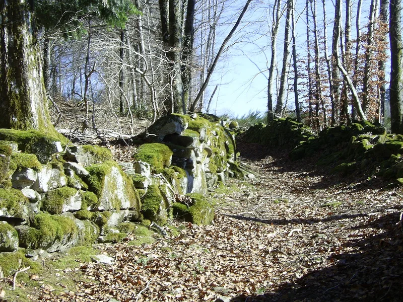 Randonnée La balade Monteliote · Lamontélarié