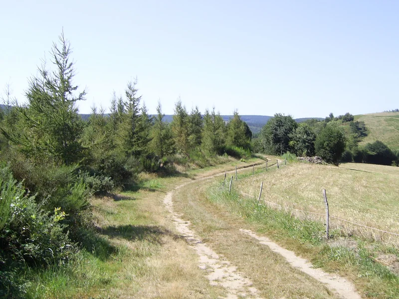 Randonnée Les Escaunelles · Mazamet